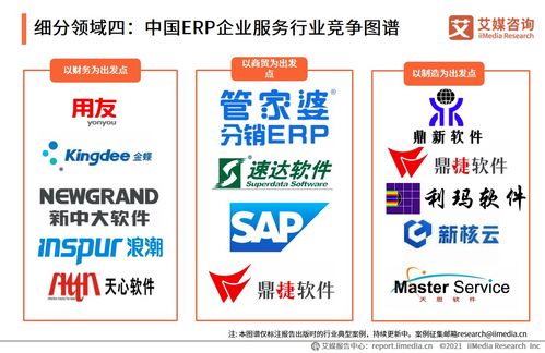 2021上半年中國企業(yè)服務(wù)專題研究報(bào)告 信息咨詢服務(wù)發(fā)展分析